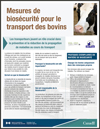 Image de PDF : Mesures de biosécurité pour le transport des bovins