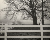 a photograph of post and rail horse fencing separating paddocks