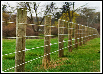 Photo d'une clôture d'enclos à chevaux en fils de métal recouverts de polymère attachés à des poteaux en bois.