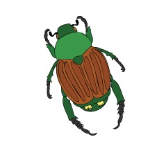 Image d'un scarabée japonais.
