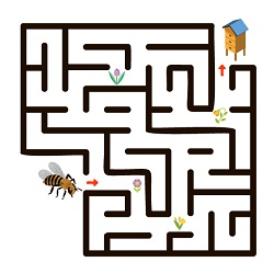 Image d'un labyrinthe où une abeille doit récolter 2 fleurs puis retourner à sa ruche.