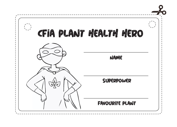 Plant hero badge with a plant hero image outline, name line, superpower line and favorite plant line.