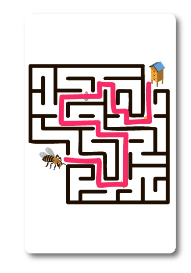 Image of the trail the bee must take to find its way through the maze.