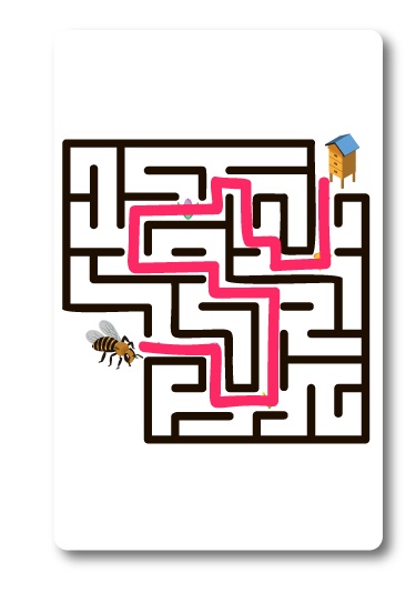 Image du chemin que l'abeille doit emprunter pour trouver son chemin dans le labyrinthe..