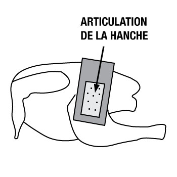 Vue du côté gauche d'un dindon placé poitrine vers le bas. Un gabarit rectangulaire gris est placé latéralement par rapport à l'articulation de la hanche.