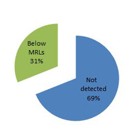 Pie Chart: Children's Food Project. Description follows.