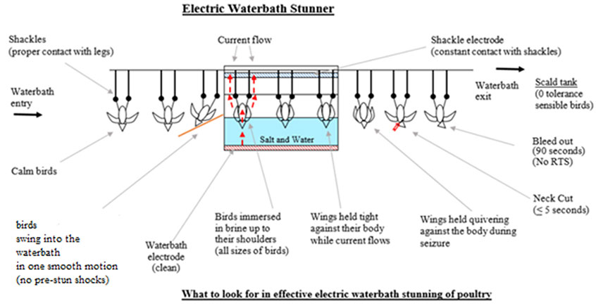 Diagram of a single phase electric waterbath stunner. Description follows