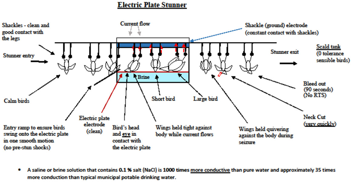 Diagram of an electric wet plate single phase stunner. Description follows.