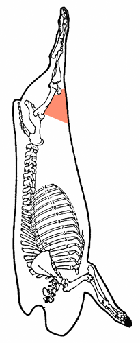 Fesse pointe