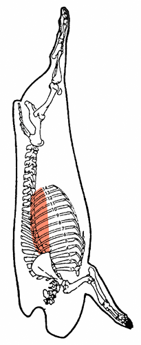 Back ribs