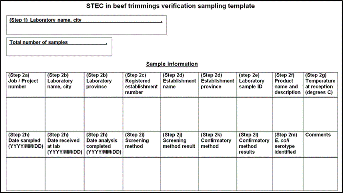 STEC in beef trimmings verification sampling template. Description follows.