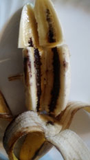 champignon rouge dans les bananes