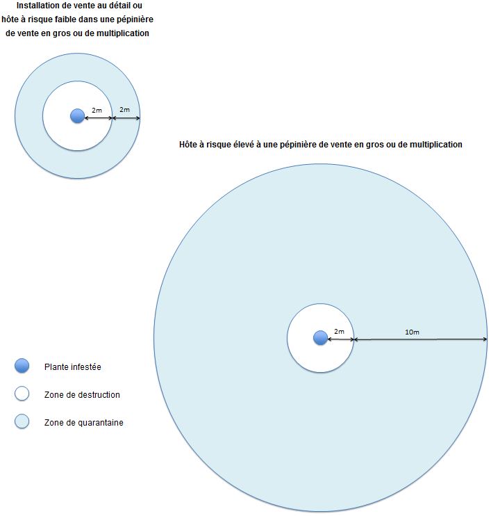 Image - Schematic of destruction and quarantine areas. Description ci-dessous.