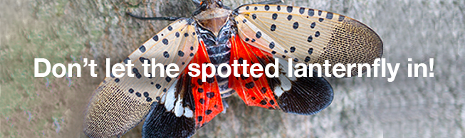 Don't let the spotted lanternfly in!