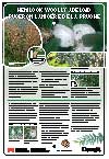 PDF thumbnail for poster of hemlock woolly adelgid