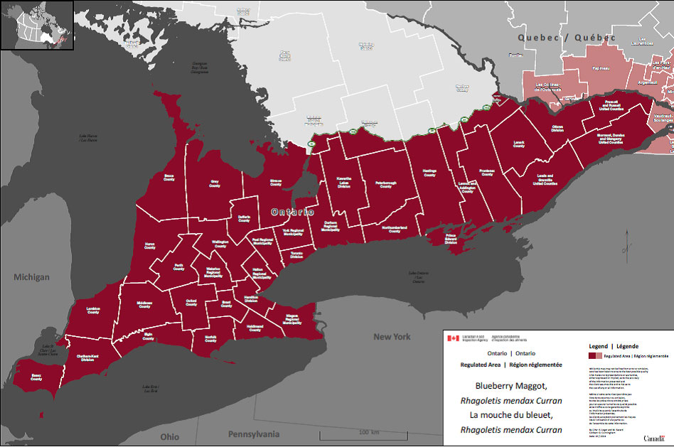 Régions réglementées à l'égard de la mouche du bleuet en Ontario. Description ci-dessous.