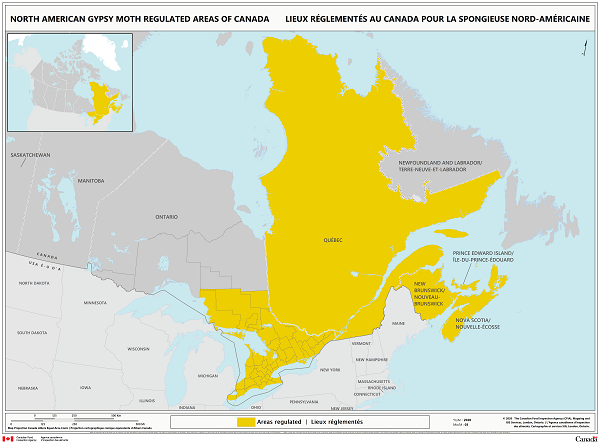 Spongieuse - Carte des régions réglementées au Canada