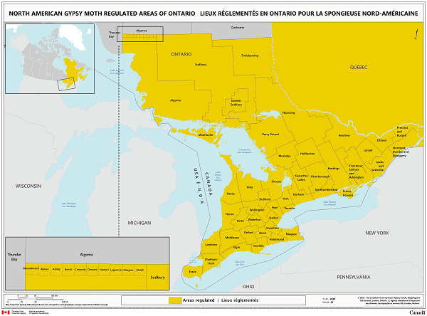 Spongieuse - Carte des régions réglementées en Ontario
