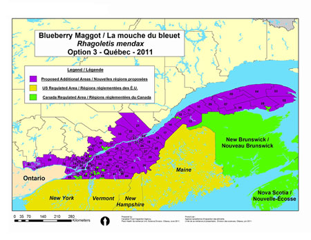 Figure 5 - Blueberry Maggot Rhagoletis Mendax Option 3 - Quebec - 2011