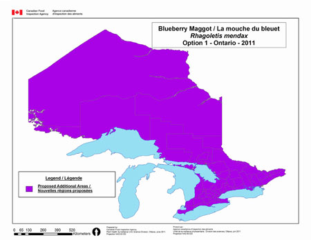 Cette carte représente toute la province de l'Ontario réglementée à l'égard de la mouche du bleuet dans le cadre de l'option 1 concernant l'Ontario.