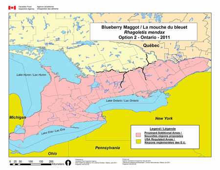 This map depicts the area to be regulated under option 2 for Ontario. The proposed area is all of Ontario south of Roads 132, 41, 28, 121, 118 and 11.