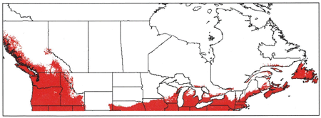 Potential Range of Taraxacum kok-saghyz in Canada, North Carolina State University Animal and Plant Health Inspection Service Plant Pest Forecasting System plant hardiness zones 5-9, in southern and coastal British Columbia, southern Ontario and the Atlantic coast