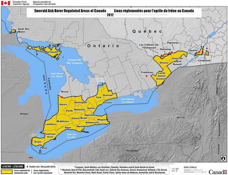 Emerald ash borer Regulated Areas in Canada as of March 2013. Description follows.