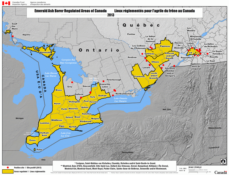Régions réglementées à l'égard de l'agrile du frêne au Canada en date de décembre 2013. Description ci-dessous.