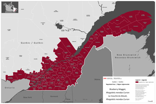 Figure 1 : Les zones actuellement réglementées à l'égard de la mouche du bleuet au Québec.