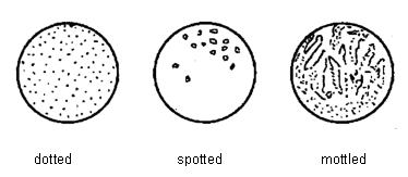 Testa pattern – dotted, spotted and mottled. Description follows.