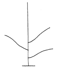 Description of the plant growth habit diagram. Description follows.