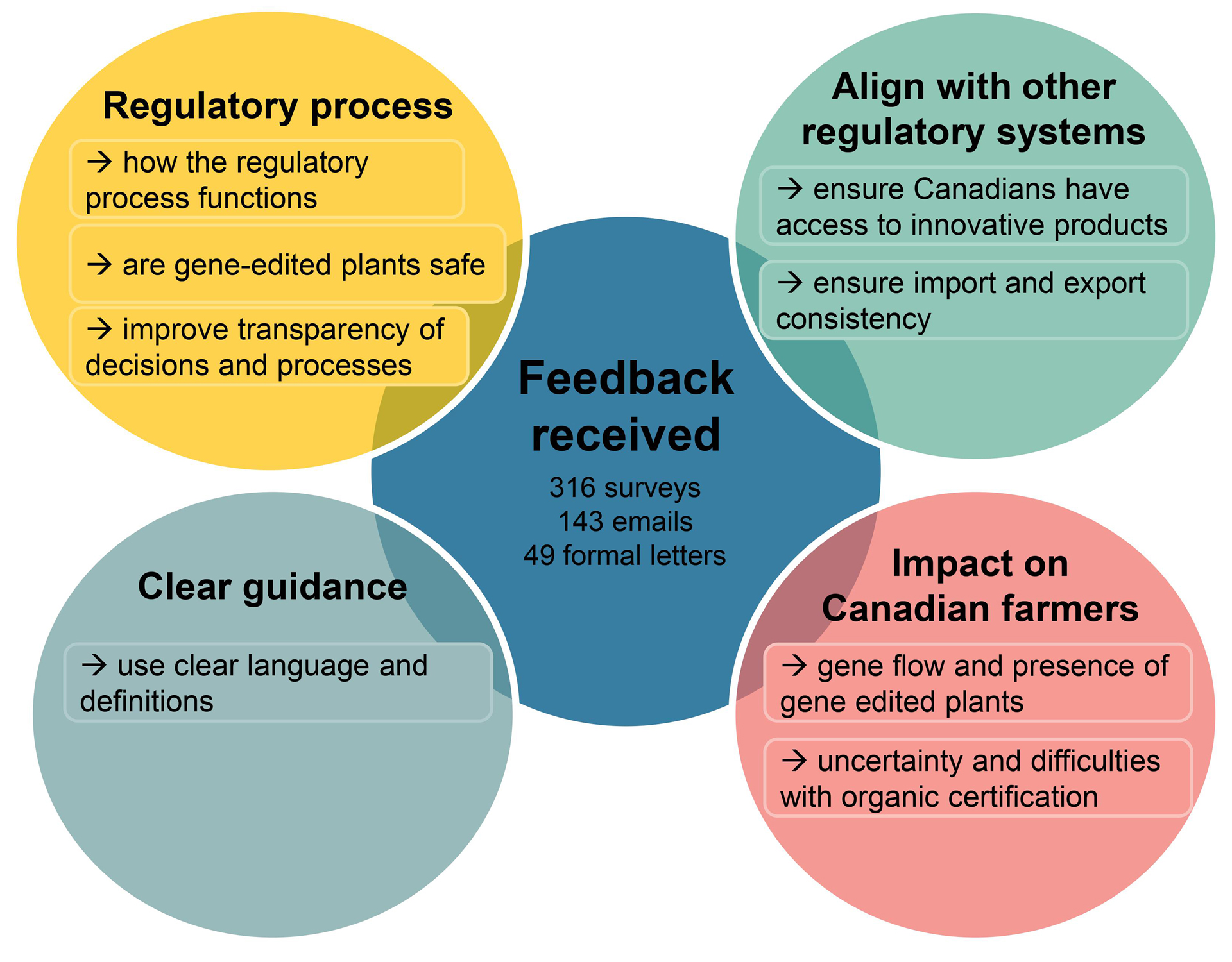 Figure 1 - Diagram of key feedback themes and the related common comments or concerns. Description follows.