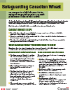 PDF thumbnail - Fact sheet: Safeguarding Canadian Wheat