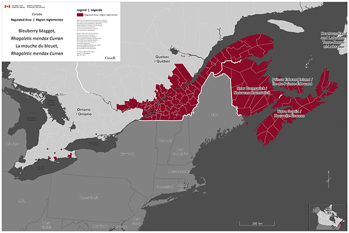 Les zones réglementées à l'égard de la mouche du bleuet actuellement au Canada en avril 2014.
