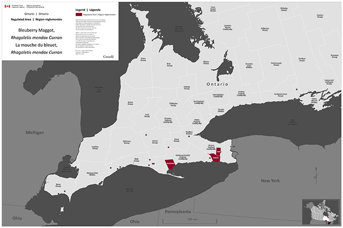 Regulated areas of blueberry maggots in Ontario, as of 2013. Description follows.