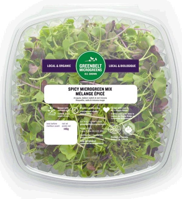 Spicy Microgreen Mix - 140 grams