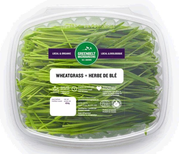 Wheatgrass - 454 grams