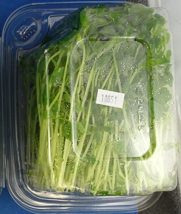 GPM Pea Shoots – 100 grams (back - image 3)
