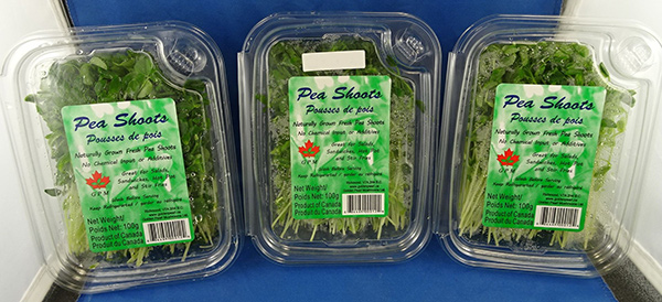 GPM : Pea Shoots - 100 g