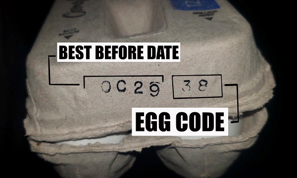 Best Before Date – Egg Code