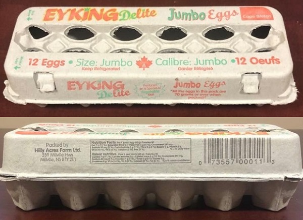 Eyking Delite – Jumbo Size Eggs (12 eggs)