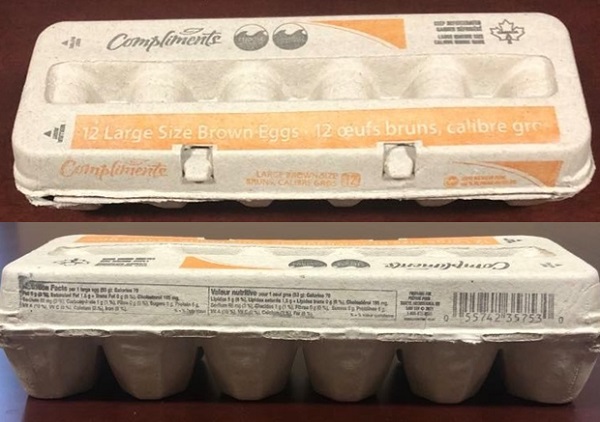 Compliments – Large Size Brown Eggs (12 eggs)