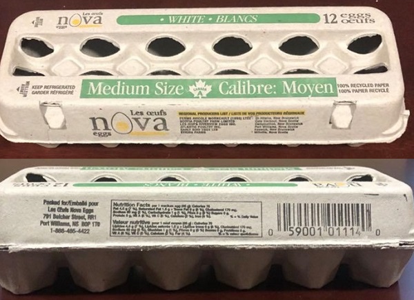 Nova Eggs – Medium Size White eggs (12 eggs)