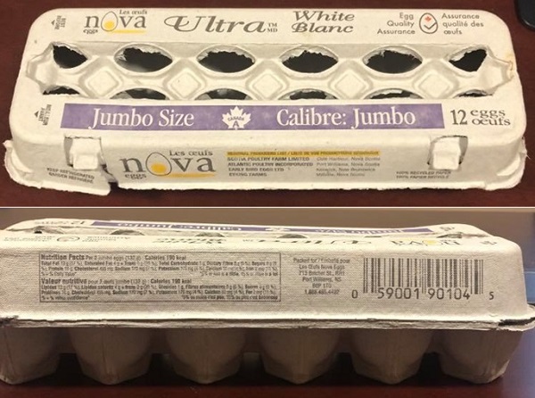 Les Oeufs Nova Ultra – Oeufs blancs, calibre: jumbo (12 oeufs)