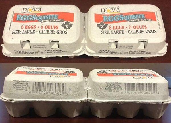 Les Oeufs Nova Eggsquisite – Oeufs blancs, calibre: gros (6 oeufs)
