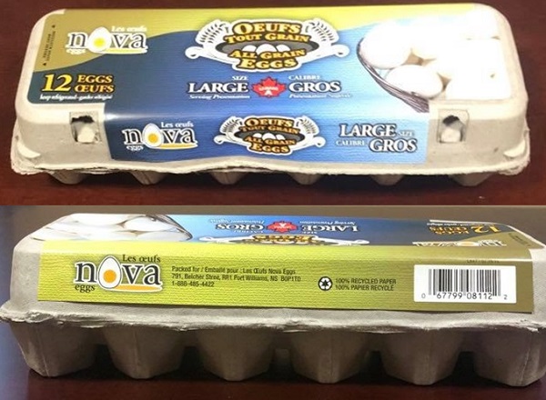 Nova Eggs – All Grain Eggs Large Size (12 eggs)