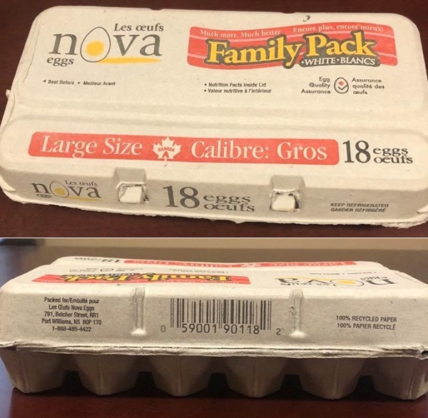 Nova Eggs – Large Size White eggs (18 eggs)