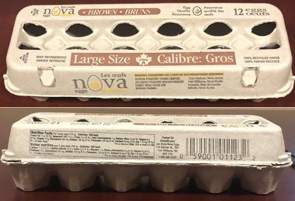 Nova Eggs – Large Size Brown Eggs (12 eggs)