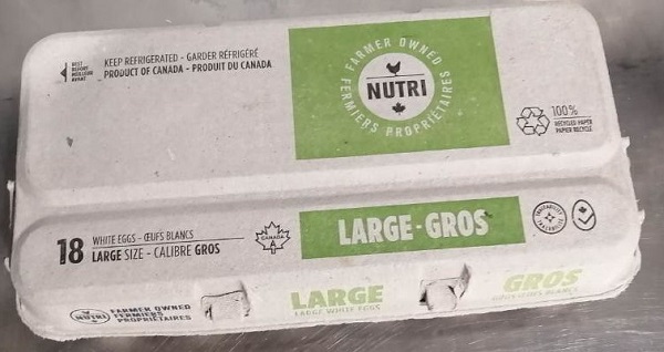 Nutri – Large white eggs – 18 eggs