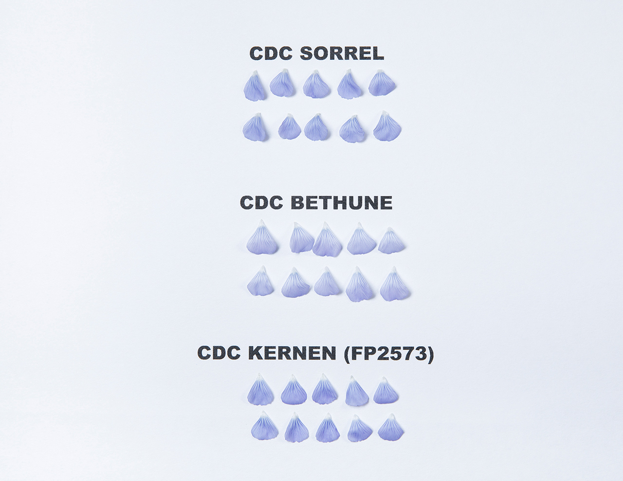 CDC Kernen